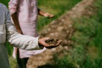 Healthy Soil, Healthy Gut: How Microbes Link Food, Farm & Wellness